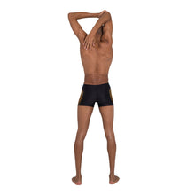 Tải hình ảnh vào trình xem Thư viện, Quần Bơi Nam Speedo Tech Panel Aquashort