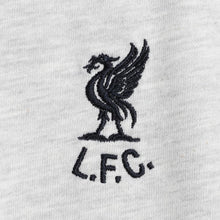 Load image into Gallery viewer, Áo Thun Nam LFC Raglan