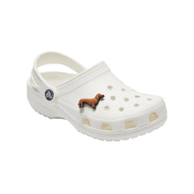 Tải hình ảnh vào trình xem Thư viện, Jibbitz™ Charm Dachshund
