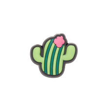 Tải hình ảnh vào trình xem Thư viện, Jibbitz™ Charm Adventure Southwest
