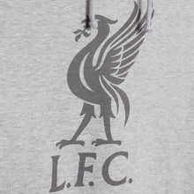 Tải hình ảnh vào trình xem Thư viện, Áo Chui Đầu Nữ LFC Liverbird
