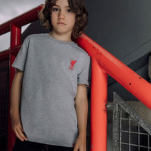 Load image into Gallery viewer, Áo Thun Bé Trai LFC Lbird Jnr Emblem
