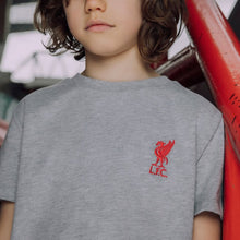 Load image into Gallery viewer, Áo Thun Bé Trai LFC Lbird Jnr Emblem
