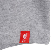 Load image into Gallery viewer, Áo Thun Nam LFC 96-97 Crest
