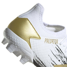 Load image into Gallery viewer, Giày Đá Banh Nam ADIDAS Predator 20.3 L FG
